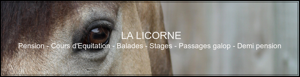  LA LICORNE